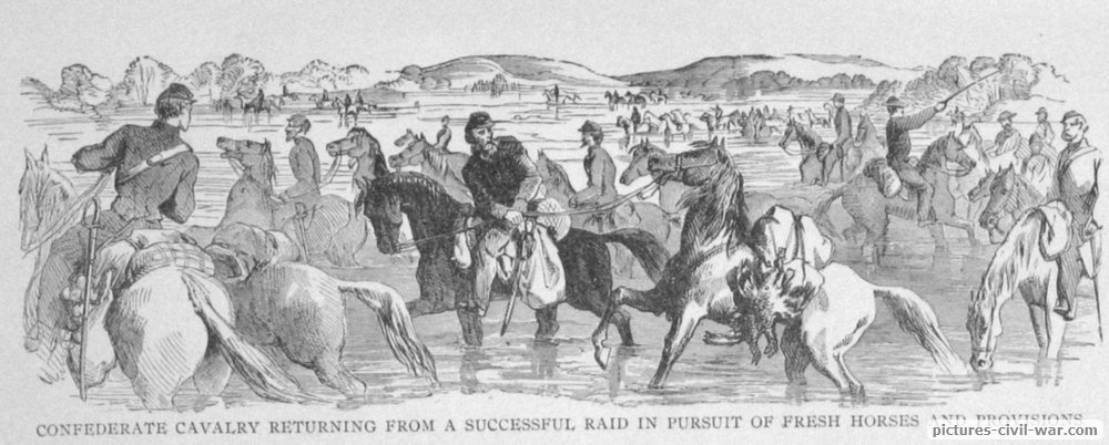 cavalry provisions