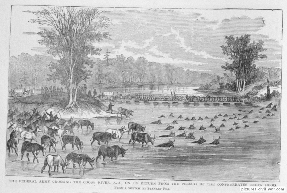 coosa river cattle crossing